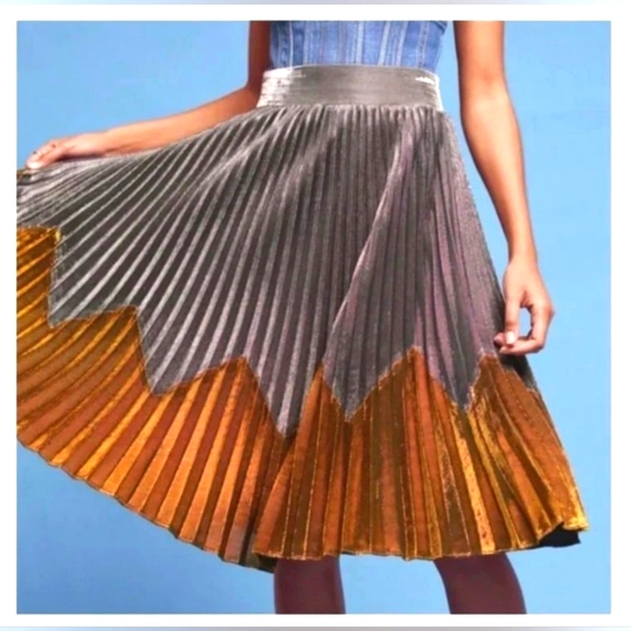 Anthropologie Dresses & Skirts - NEW ANTHROPOLOGIE HD Paris Magdalena Pleated Metallic Midi Skirt Silver & Gold L